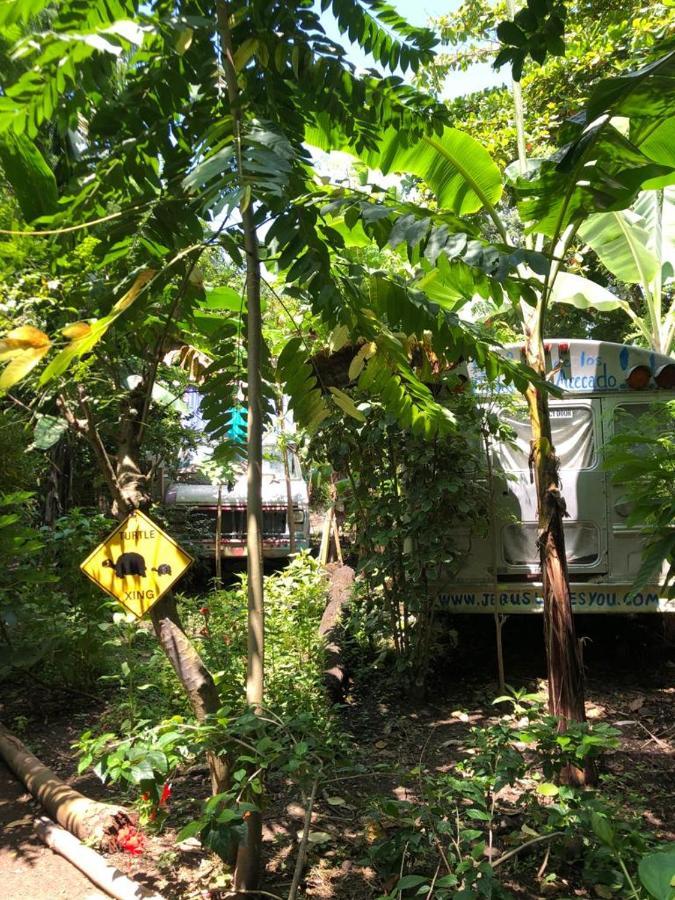 Rainbow Caravan Hostel Las Pilas Екстериор снимка
