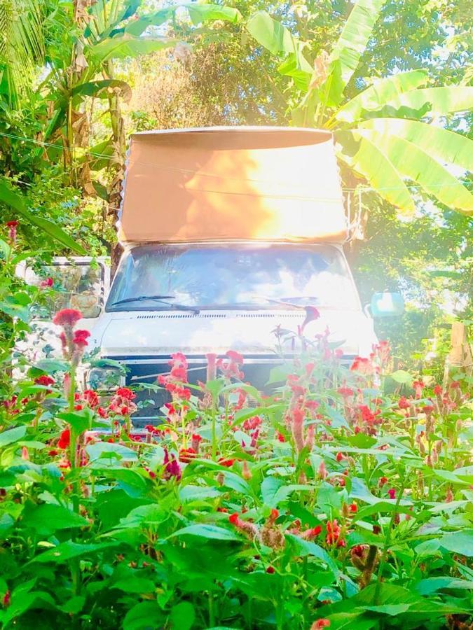 Rainbow Caravan Hostel Las Pilas Екстериор снимка